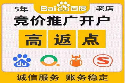 SEM主管实战：案例分析与优化策略